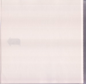 010.jpg