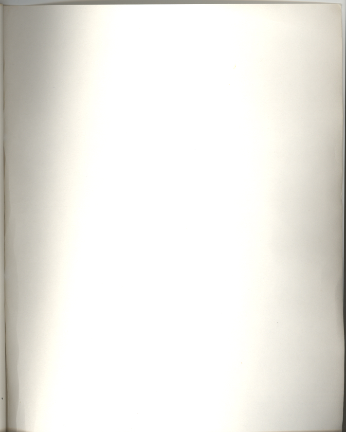 175.jpg