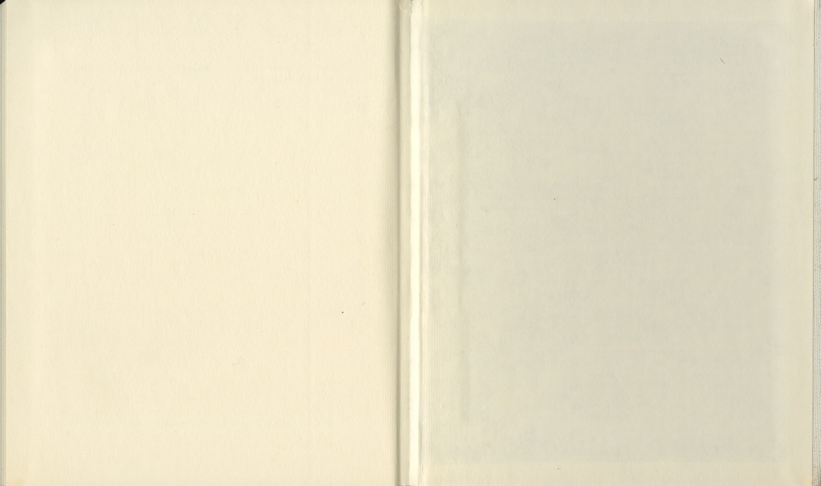 113.jpg